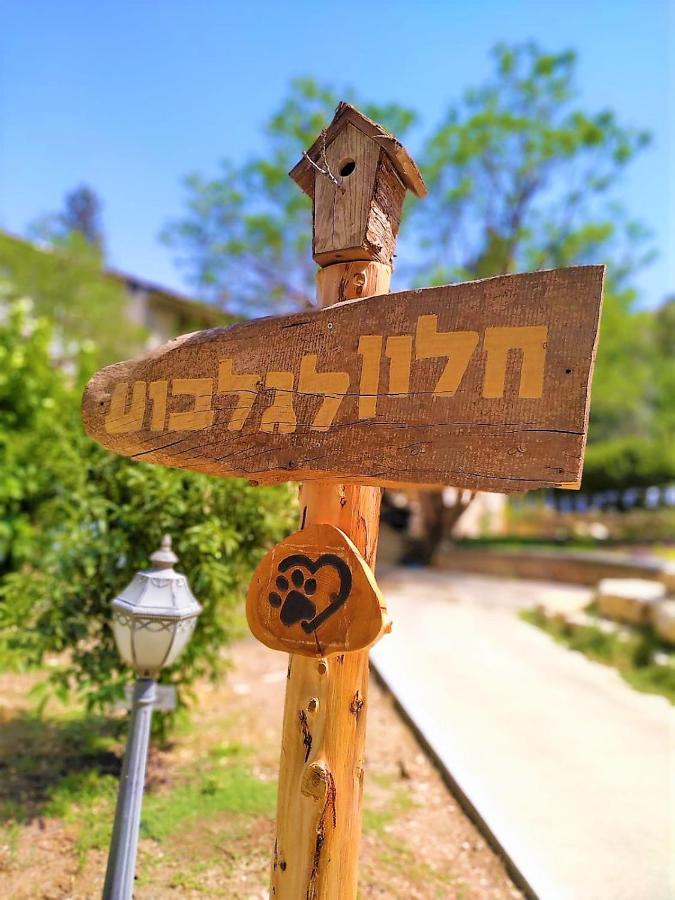 חלון לגלבוע צימר בוטיק בעמק המעיינות Bet Alfa المظهر الخارجي الصورة