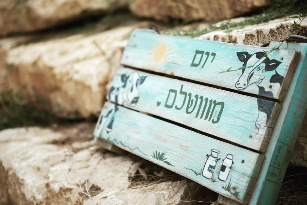חלון לגלבוע צימר בוטיק בעמק המעיינות Bet Alfa المظهر الخارجي الصورة
